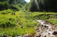 2015-06-25_02Binsalm (105).JPG